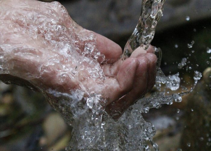 pexels-samad-deldar-14175-66346